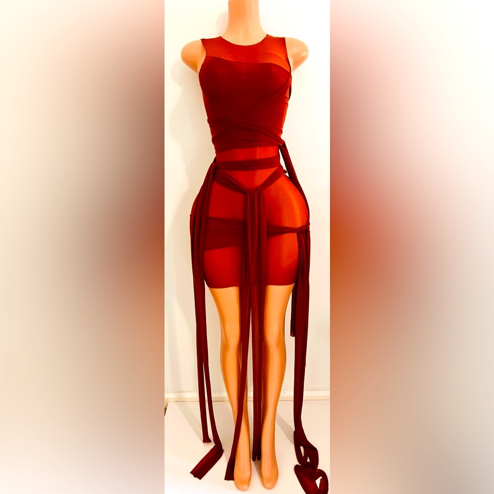 Sheer Mesh Wrap Tie Mini Dress